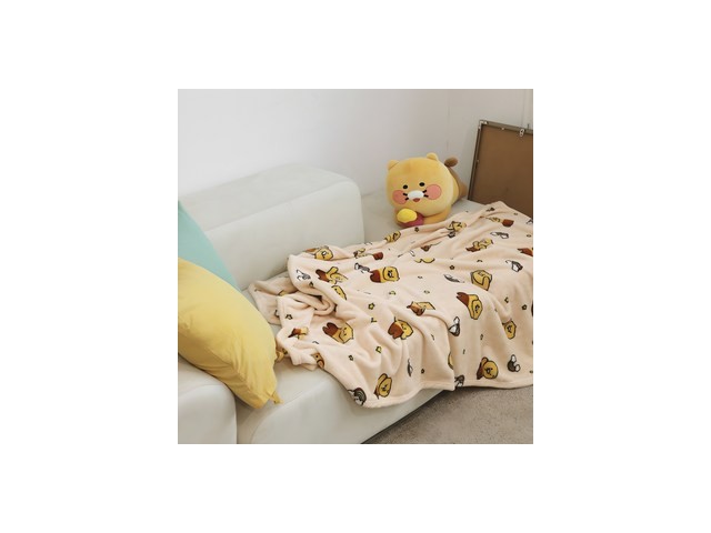 춘식이담요 내돈내산 후기정보