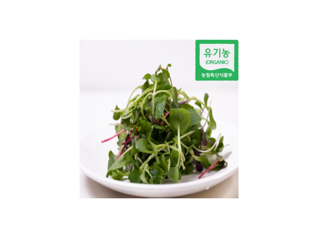 베이비채소가격 추천: 실사용자가 극찬한 제품 리스트